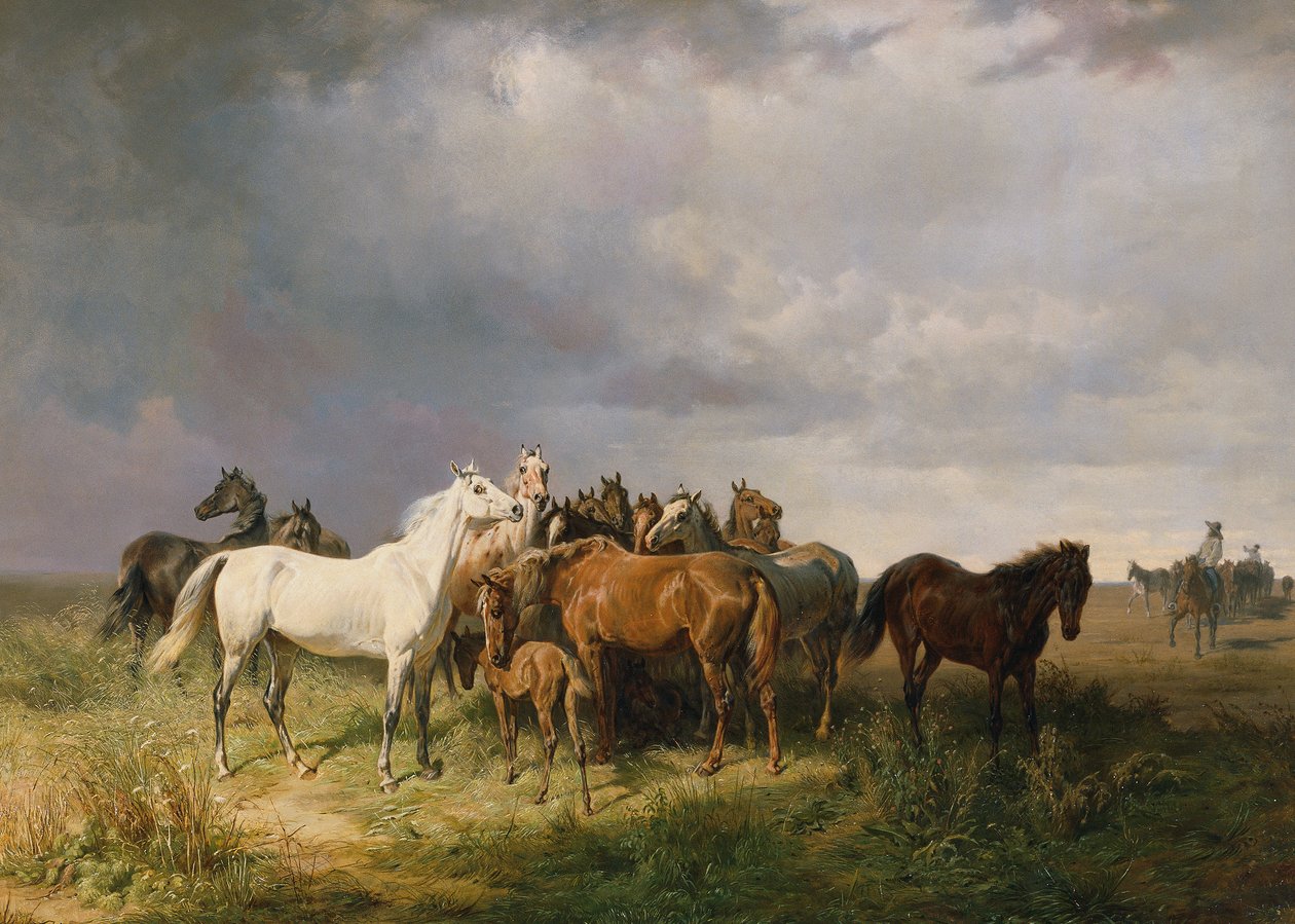 Chevaux dans la Puszta - Franz Adam