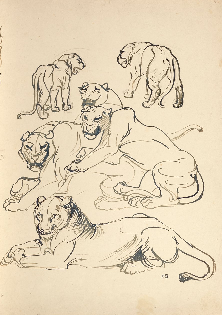 Six pumas - Franz Barwig d. Ä.