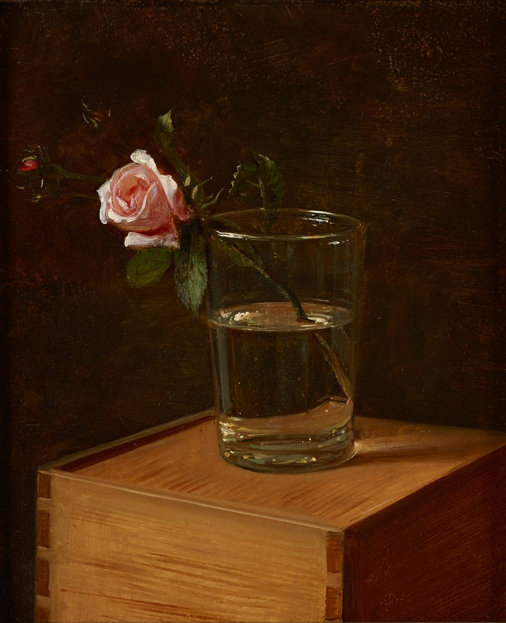 Rose dans un verre - Franz Krüger