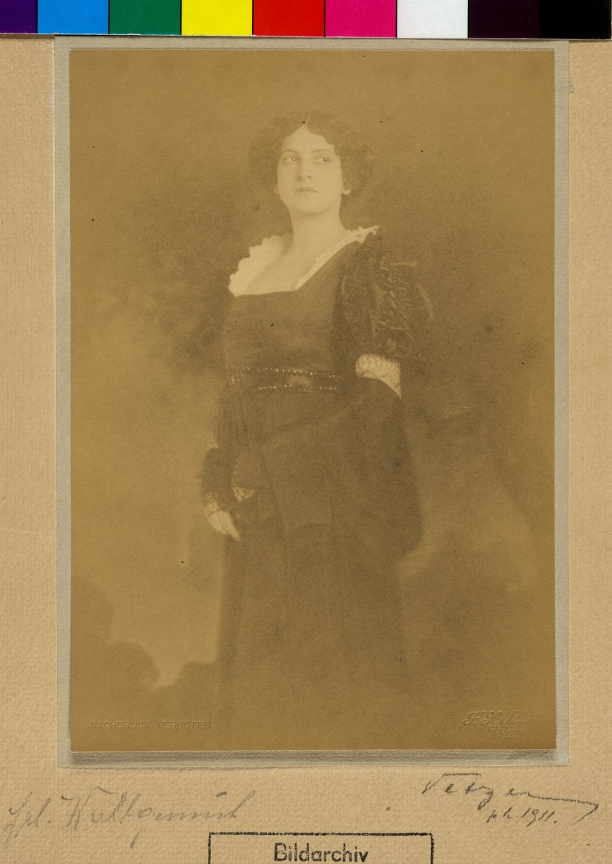 Wohlgemuth - Franz Xaver Setzer