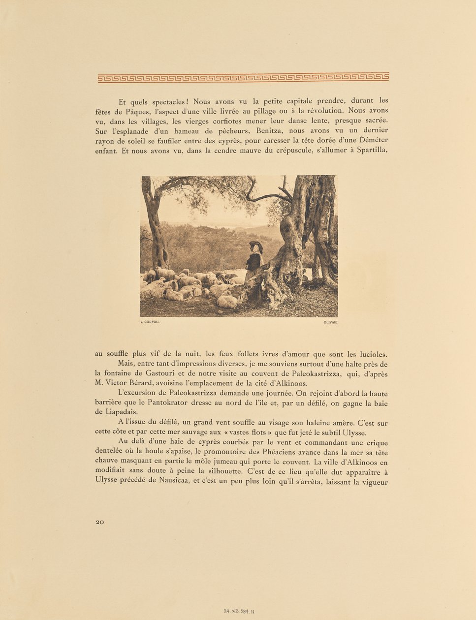 Corfou. Olivaie - Frédéric Boissonnas