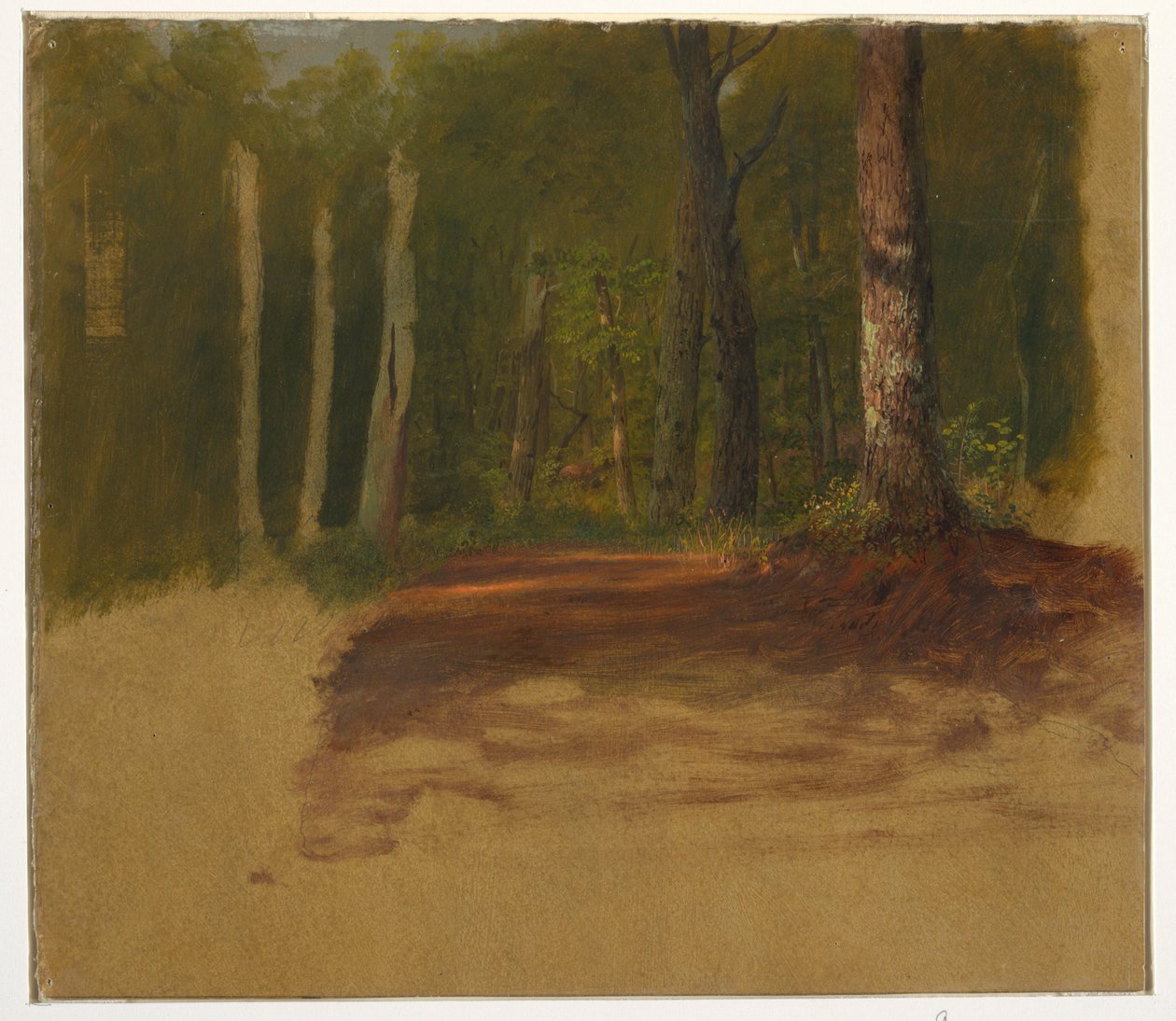 Une route dans les bois - Frederic Edwin Church