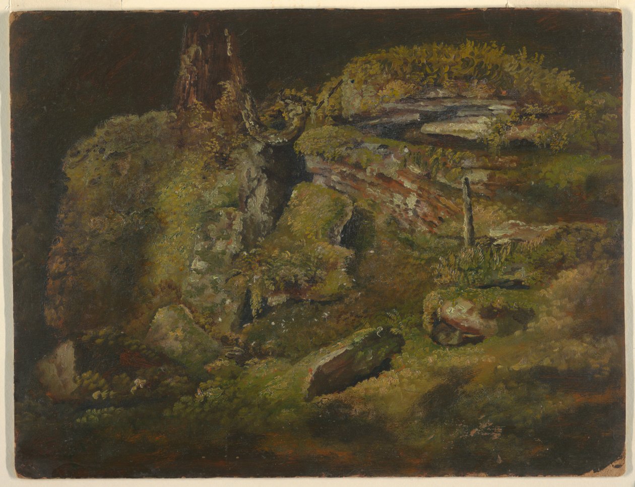 Rocher dans les bois - Frederic Edwin Church
