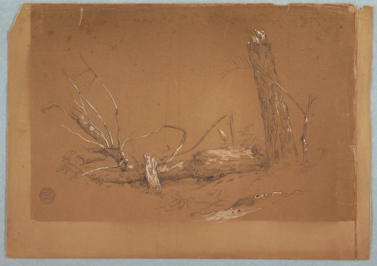Dessin, Un arbre mort cassé, 1855-65 - Frederic Edwin Church