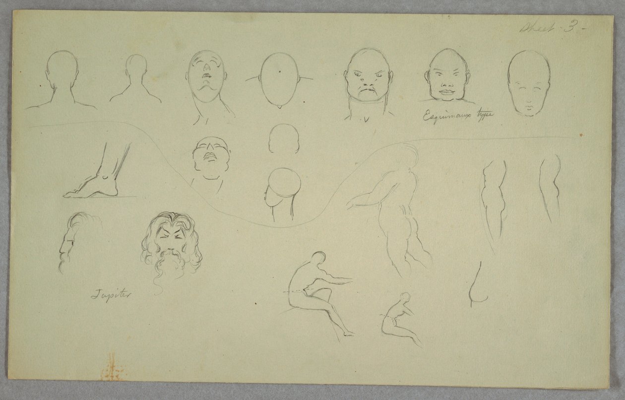 Dessin, études anatomiques, 1865-70 - Frederic Edwin Church