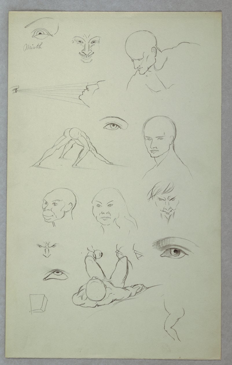 Dessin, études anatomiques, 1865-70 - Frederic Edwin Church