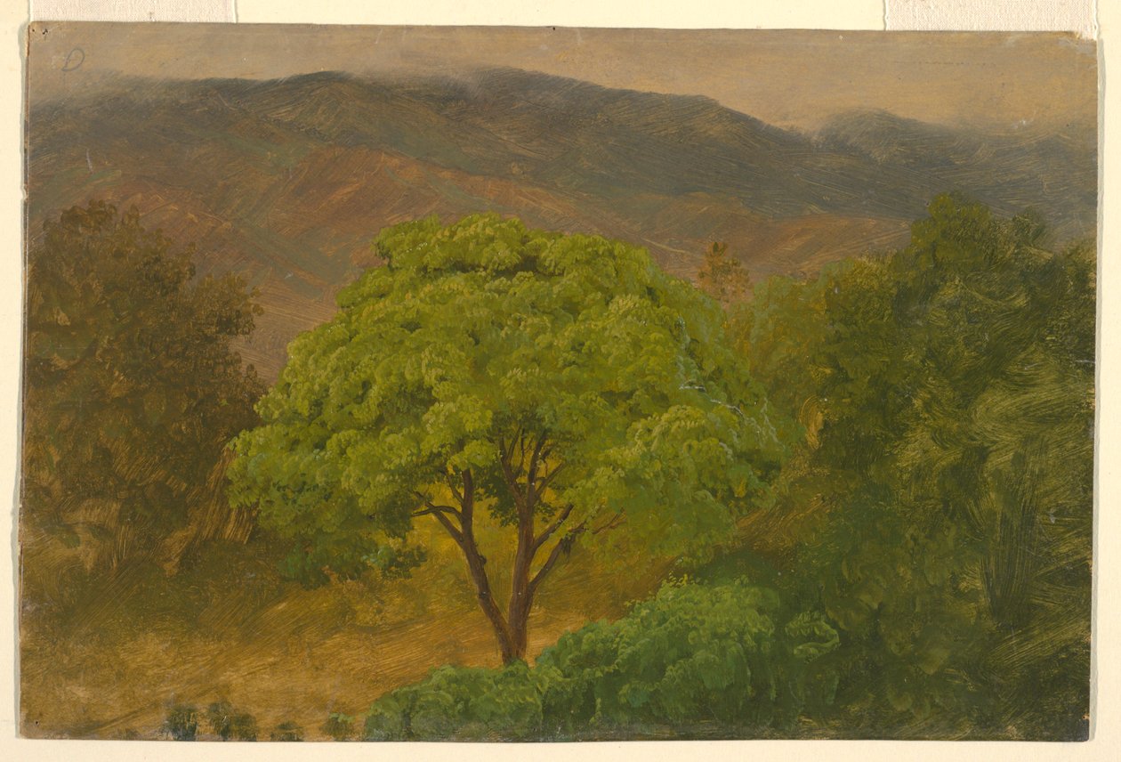 Dessin, paysage de montagne, août 1865 - Frederic Edwin Church