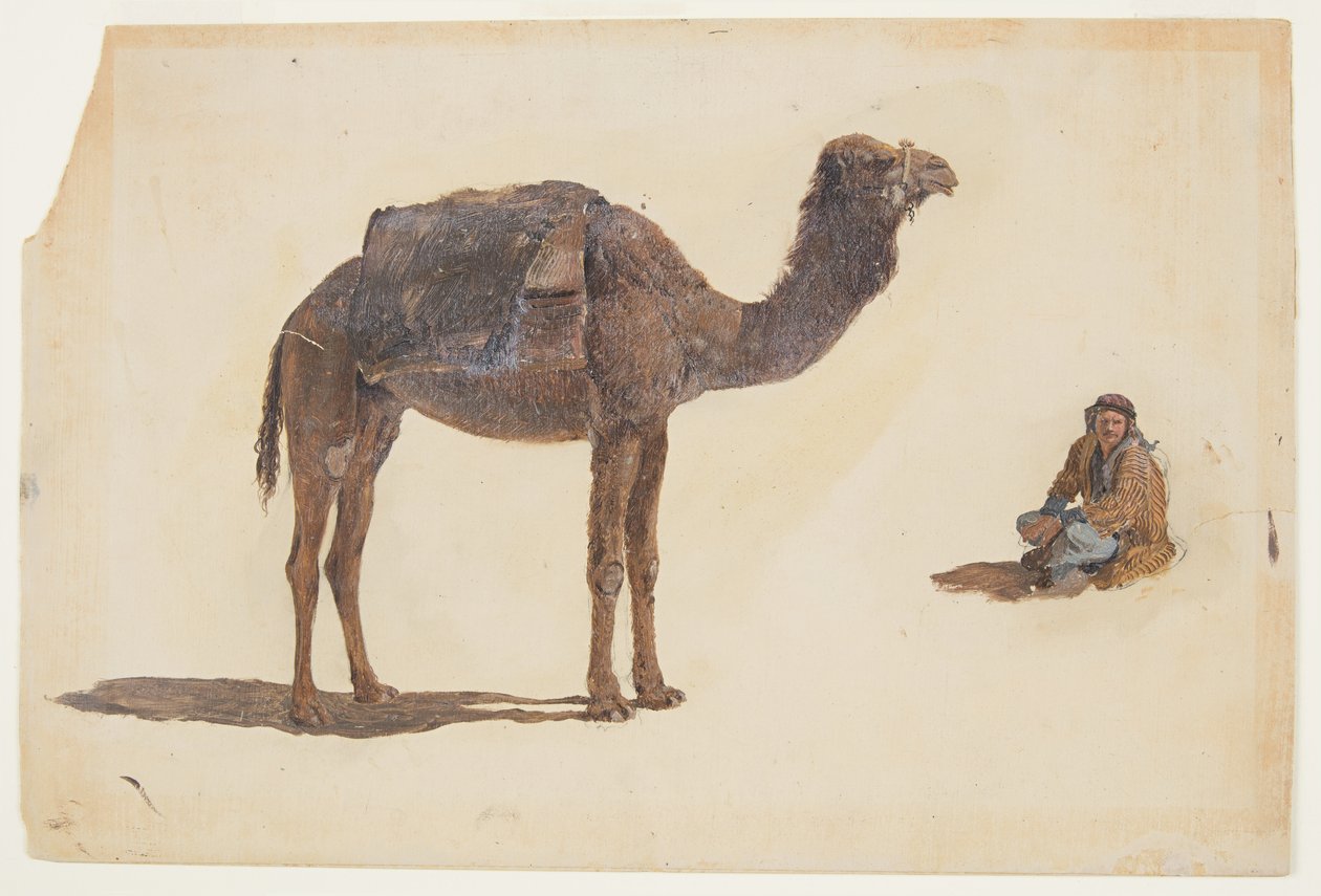 Dessin, étude d