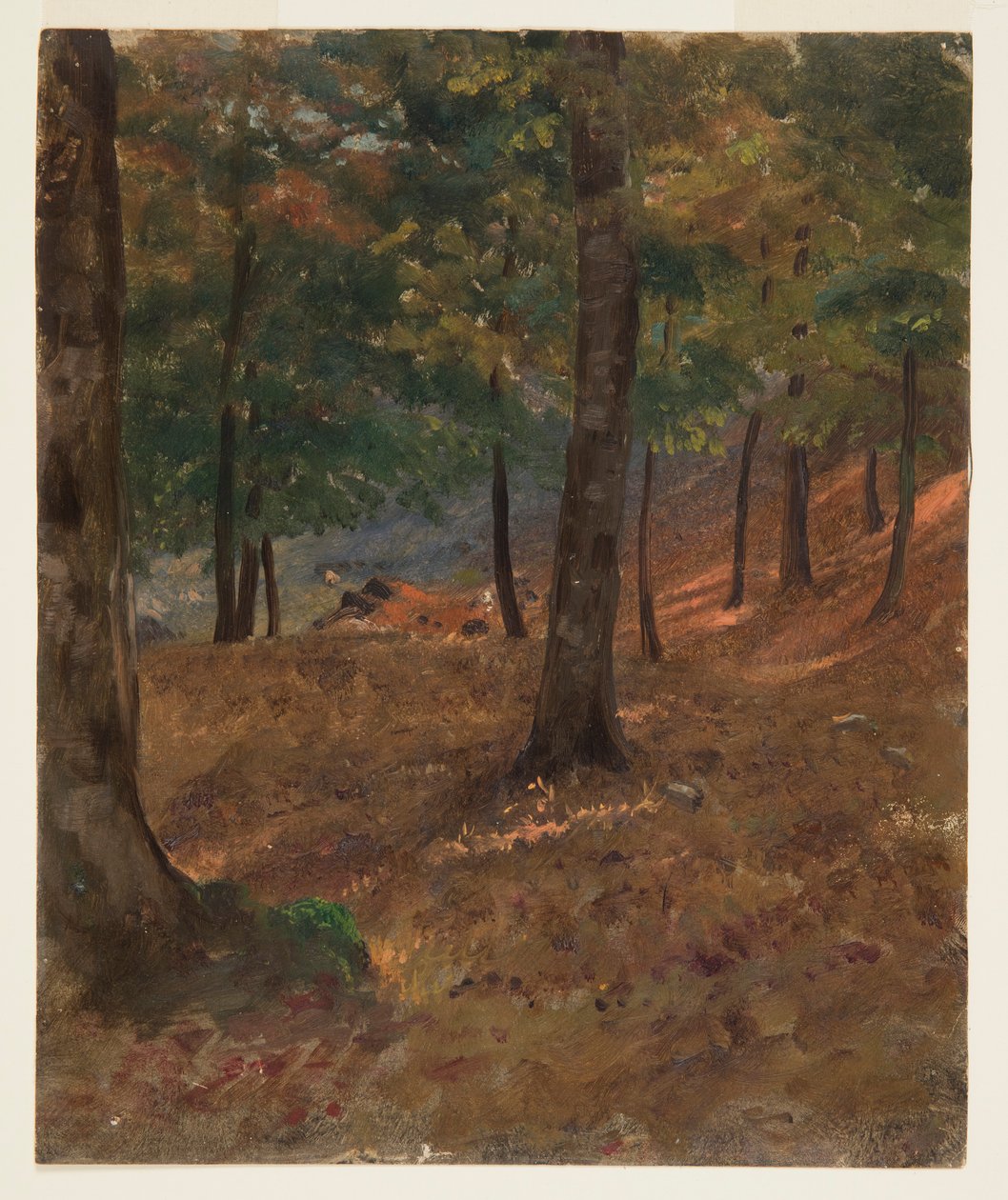 Dessin, scène de forêt, 1870-80 - Frederic Edwin Church