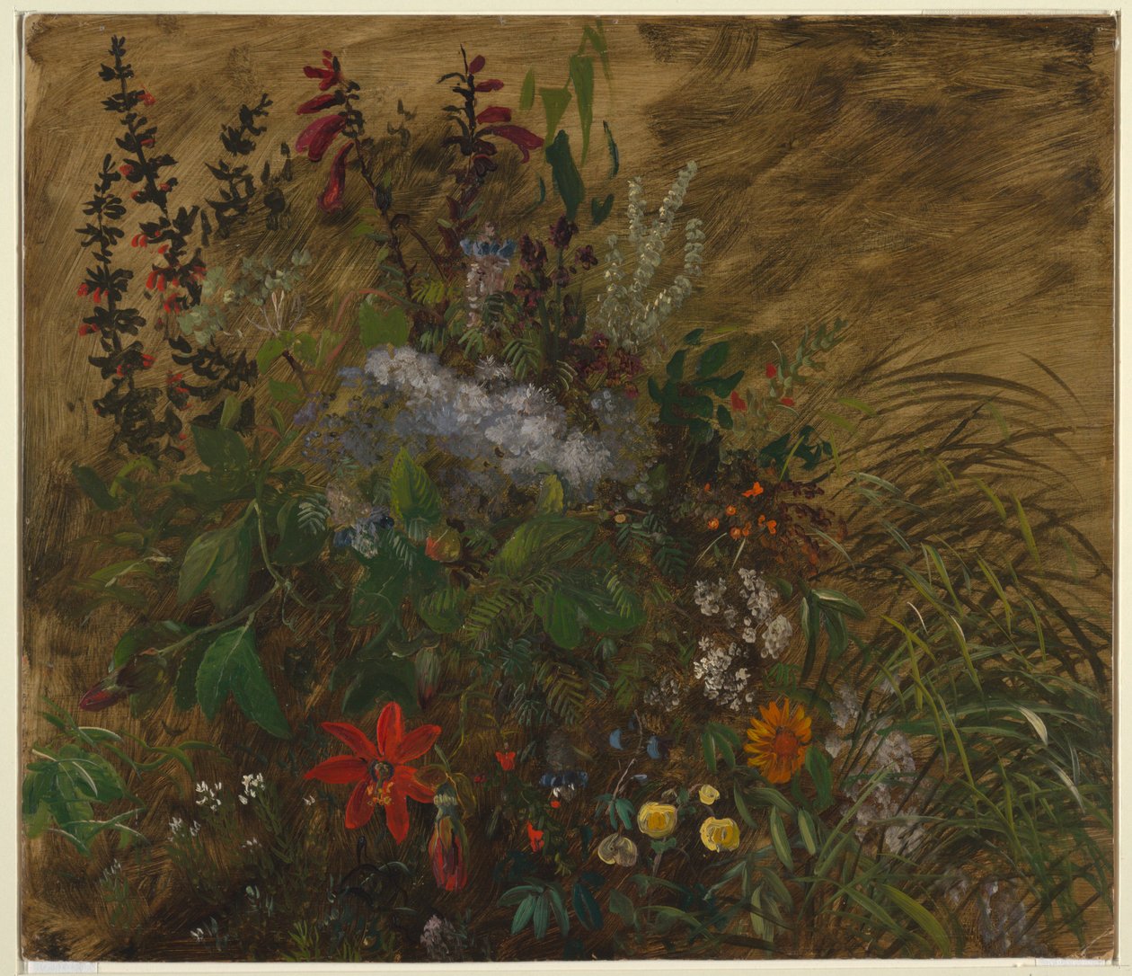 Fleurs en Jamaïque - Frederic Edwin Church