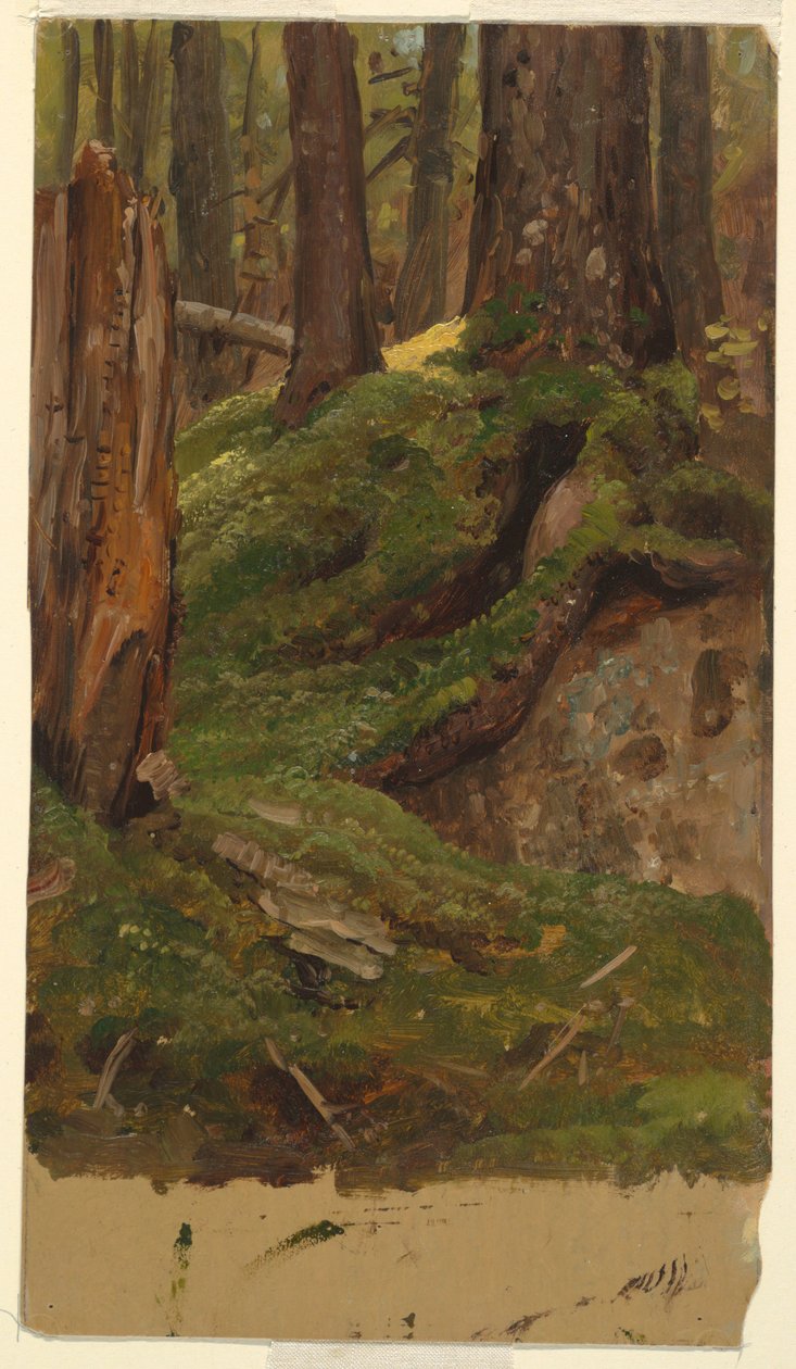 Bois du Maine ? - Frederic Edwin Church