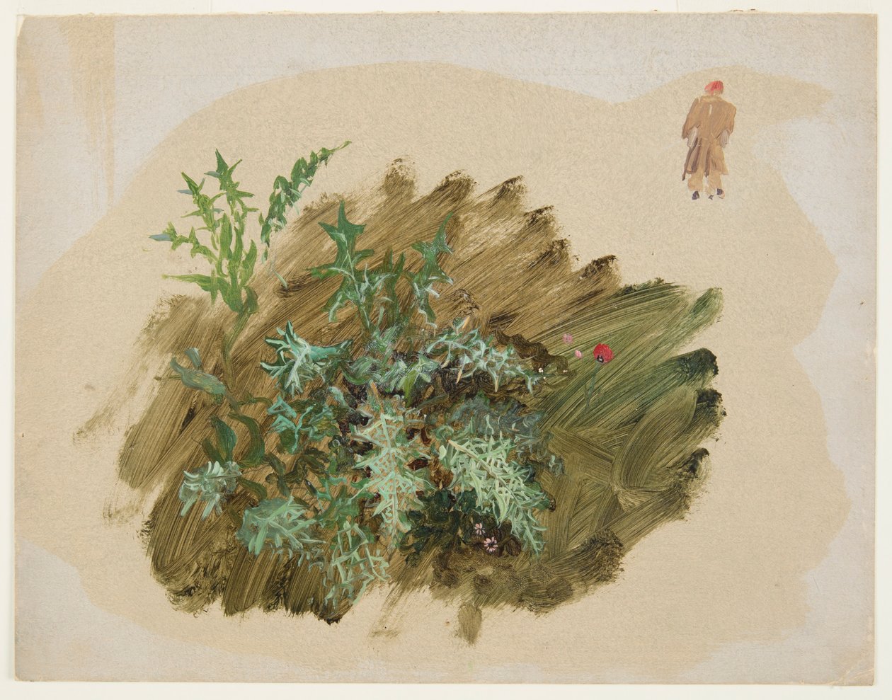 Études de plantes - Frederic Edwin Church