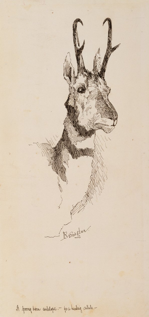 Antilope à fourche - Frederic Remington
