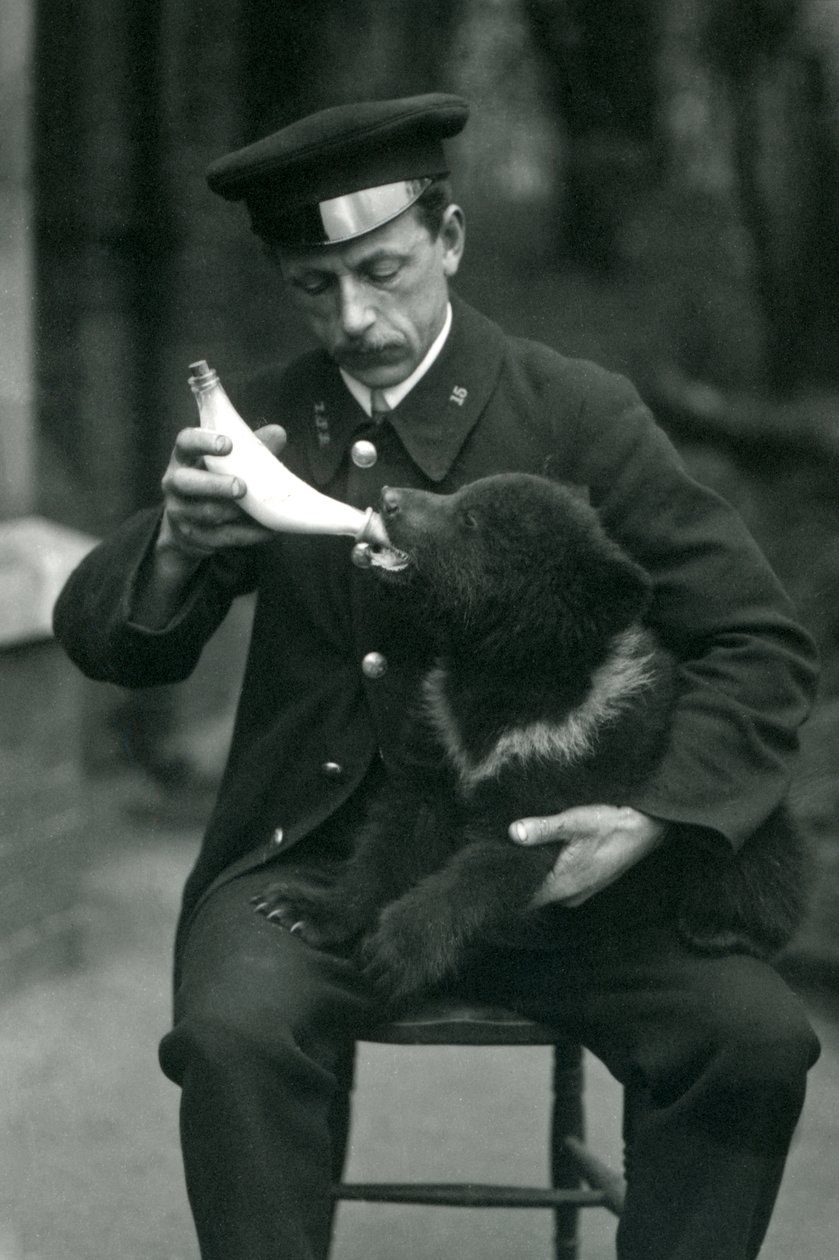 Un ourson brun nourri au biberon par le gardien Leslie Martin Flewin au zoo de Londres en mai 1914 - Frederick William Bond