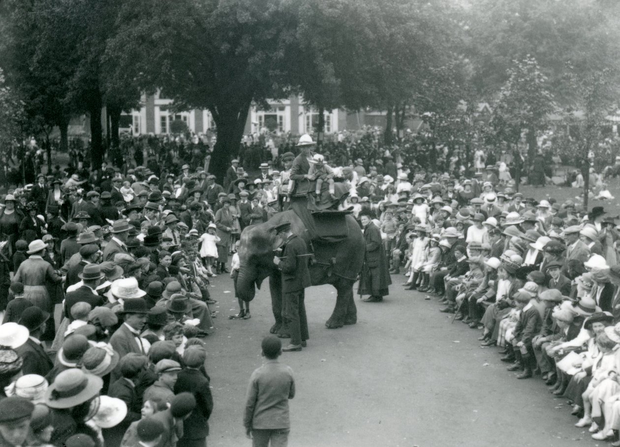 Des foules de visiteurs regardent un tour d