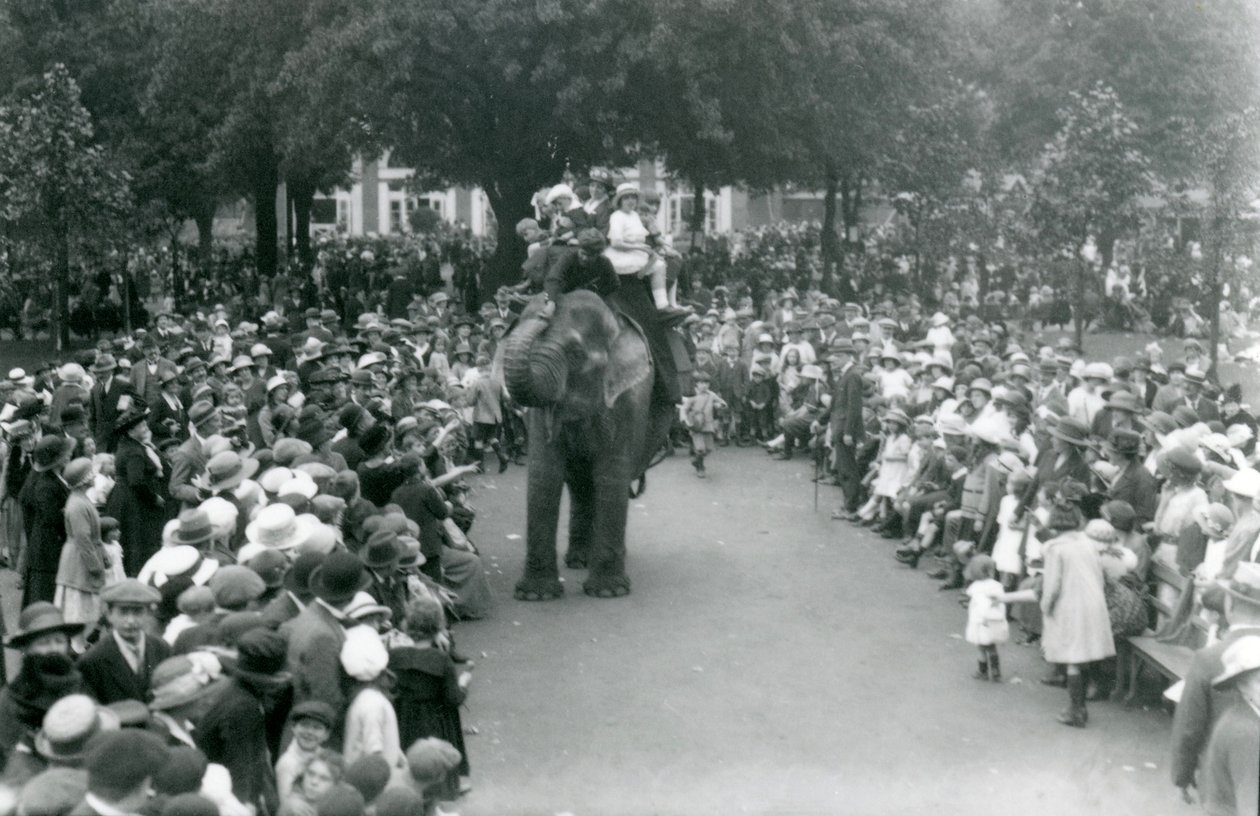Foule de visiteurs regardant une promenade à dos d