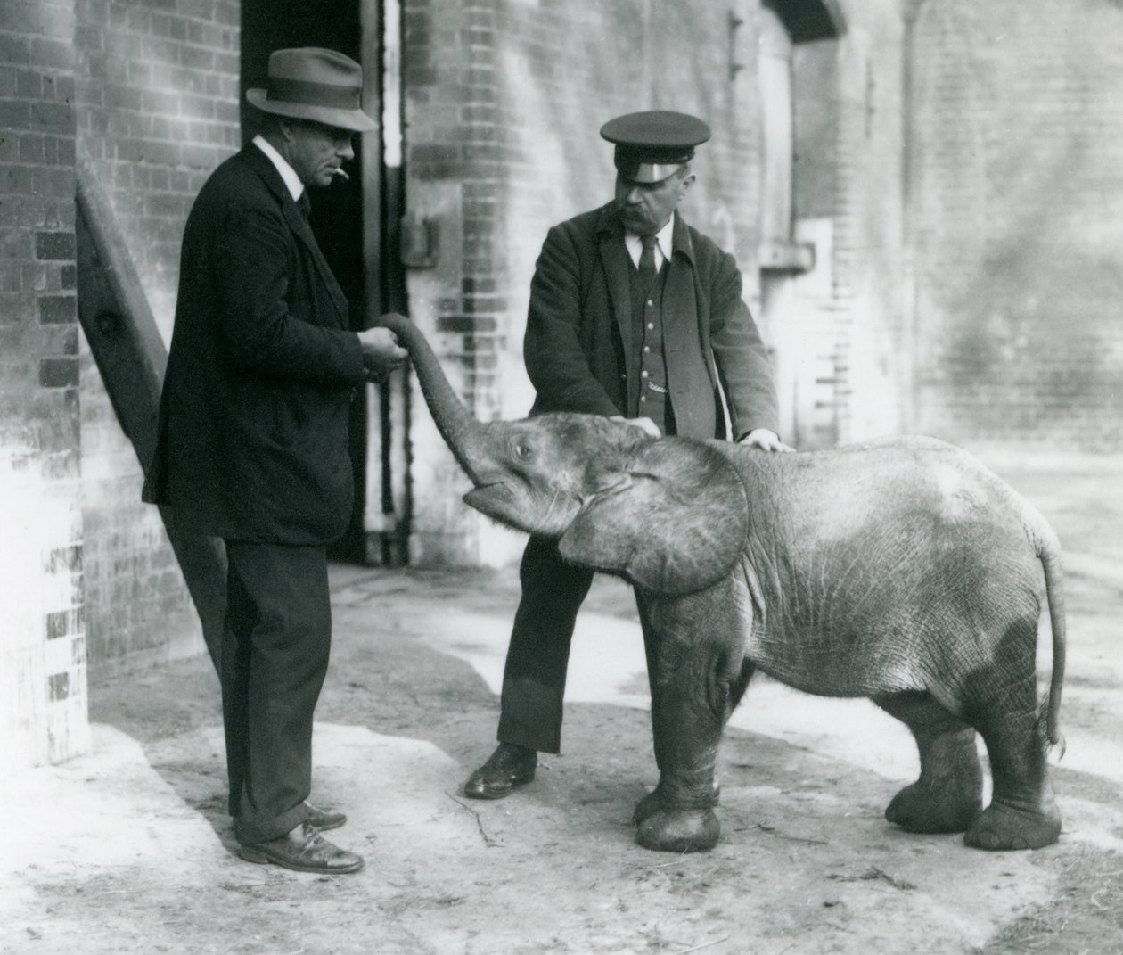 Nouveau-né éléphant pygmée de forêt Tiny, avec ses gardiens Robertson, Stimpson et Milbourn au Zoo de Londres, 1922 - Frederick William Bond