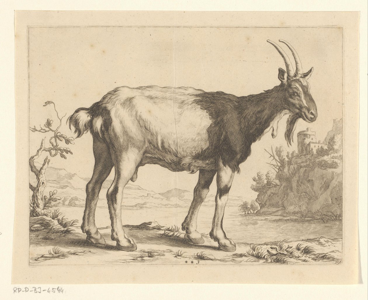 Chèvre - Frederick Bloemaert