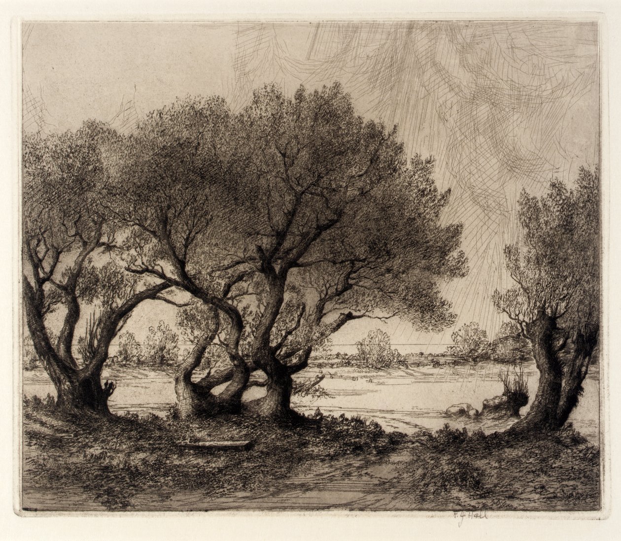 Vieux saules - Frederick G. Hall