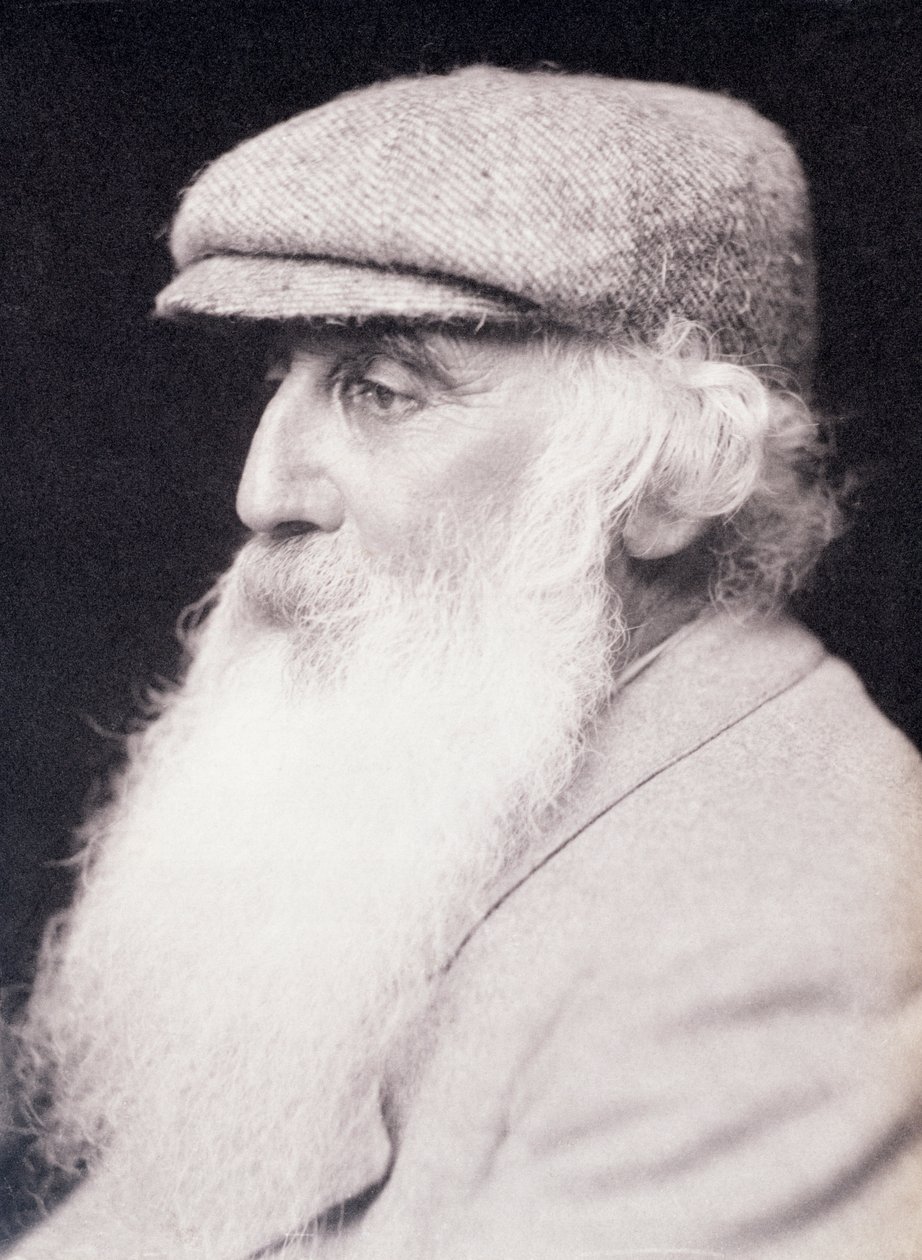 Camille Pissarro, peintre impressionniste français, vers 1890-1903 - Frederick Hollyer