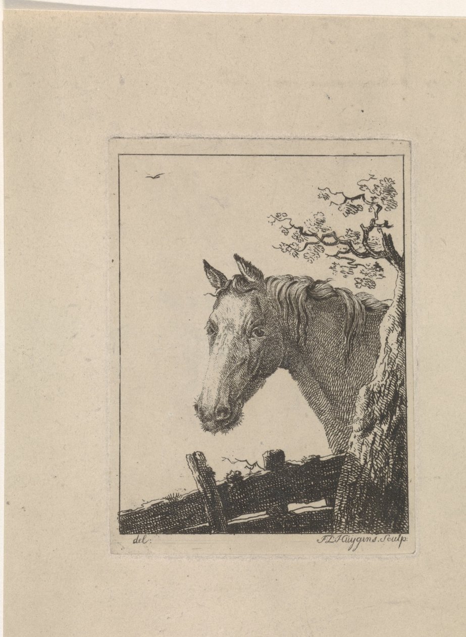 Tête de cheval - Frederik Lodewijk Huygens