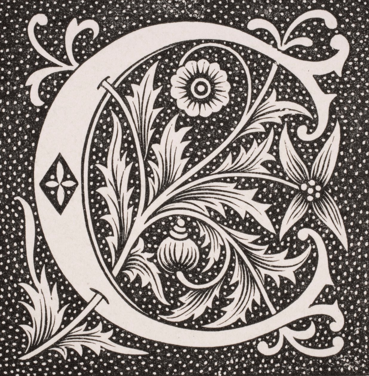 Lettre décorée 