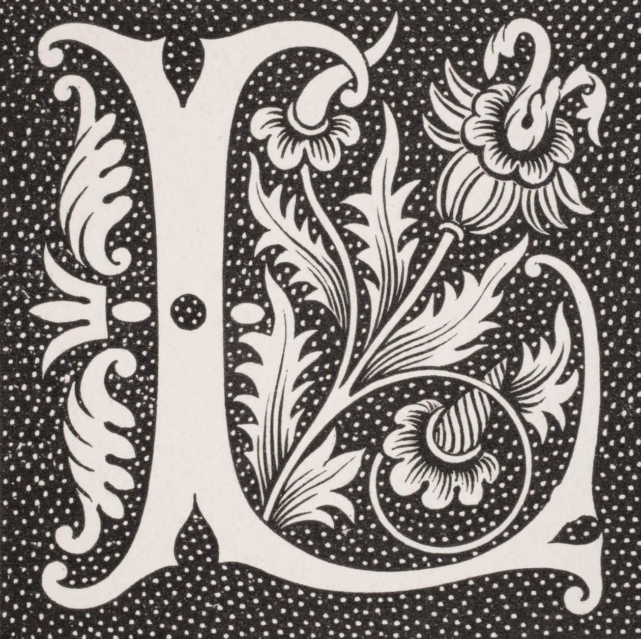 Lettre décorée 