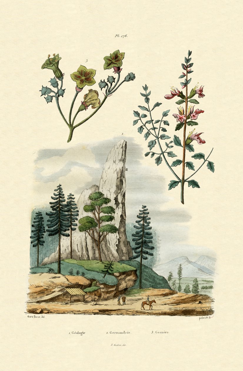 Géologie - French School