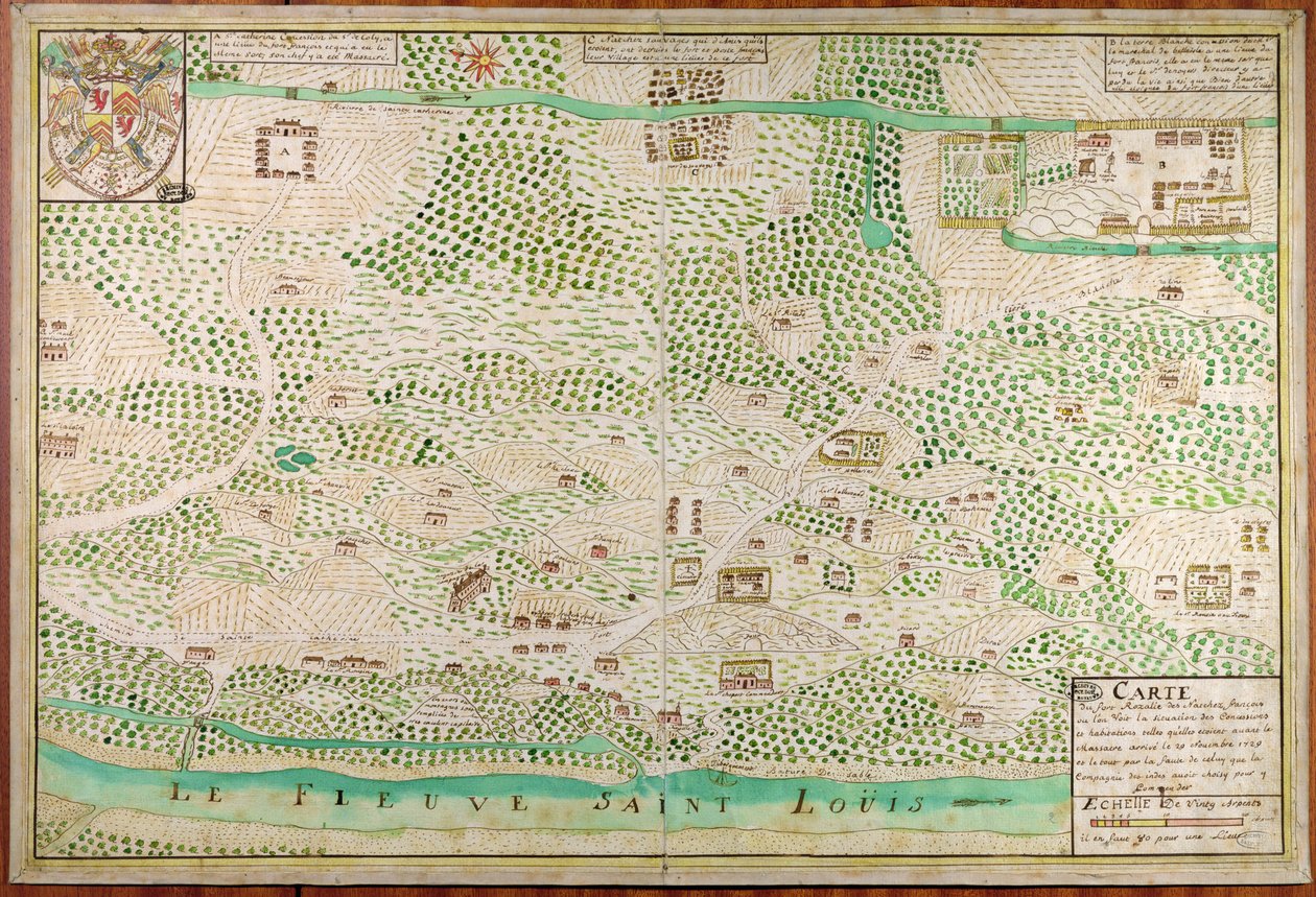 Carte du Fort Rosalie des Natchez, Louisiane - French School