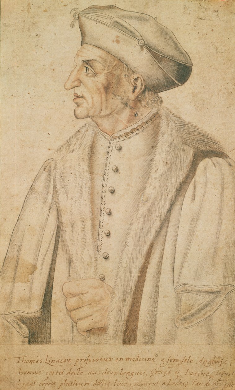 Thomas Linacre - French School