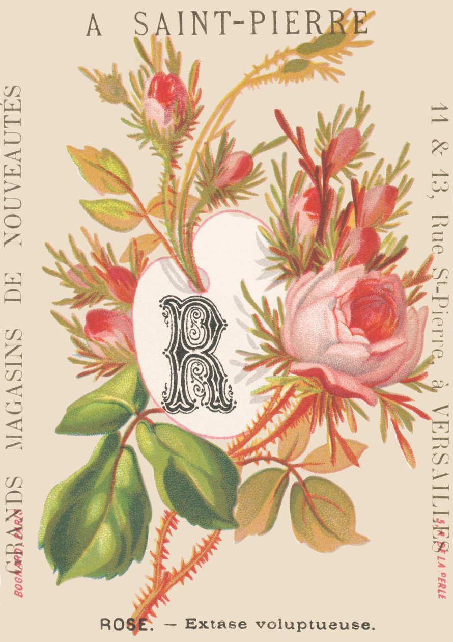 Rose - Extase voluptueuse - French School