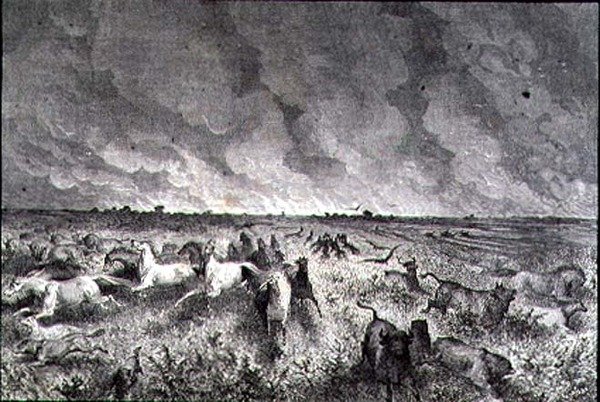 Animaux fuyant un incendie de prairie - French School