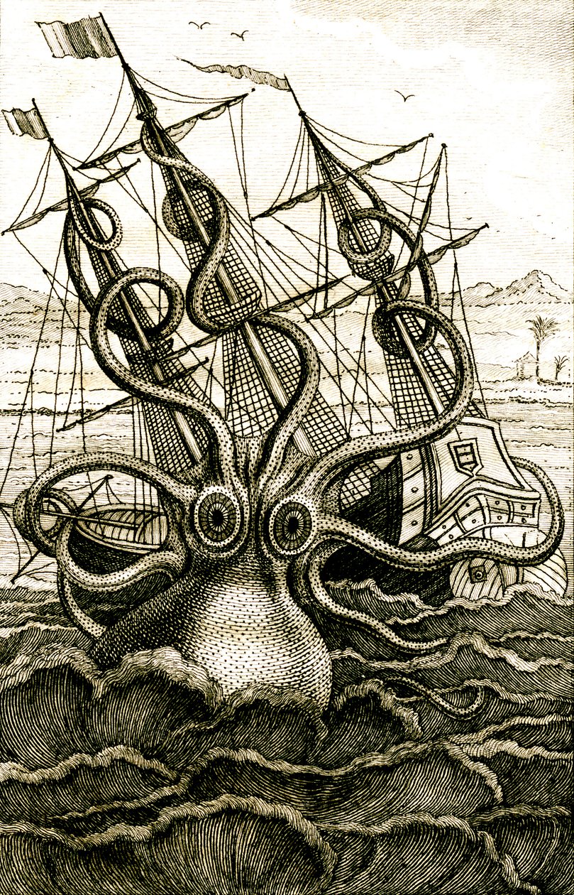 Poulpe colossal, c.1802 - French School