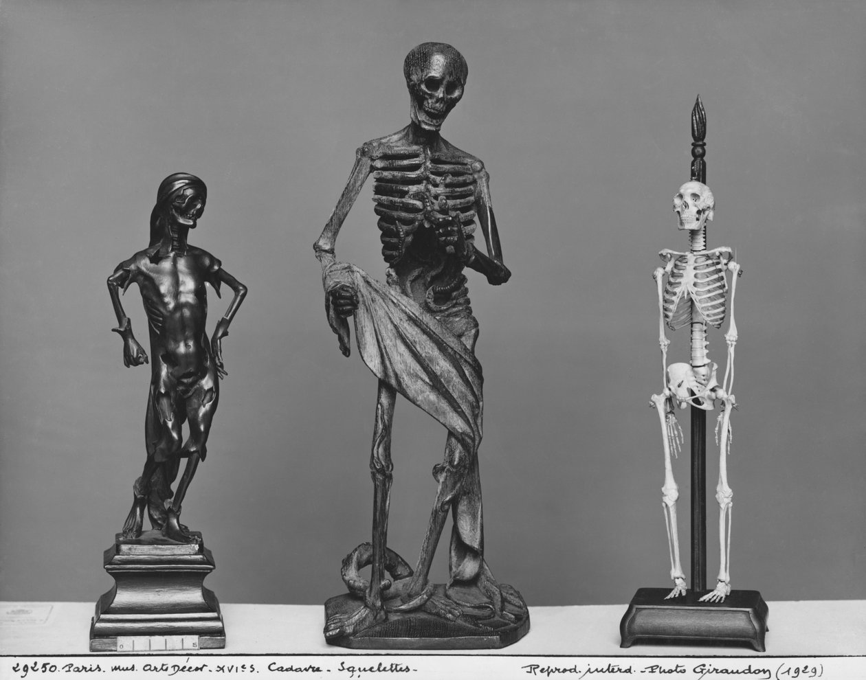 Cadavre, squelettes - French School