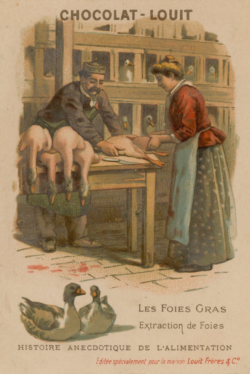 Foie Gras - French School