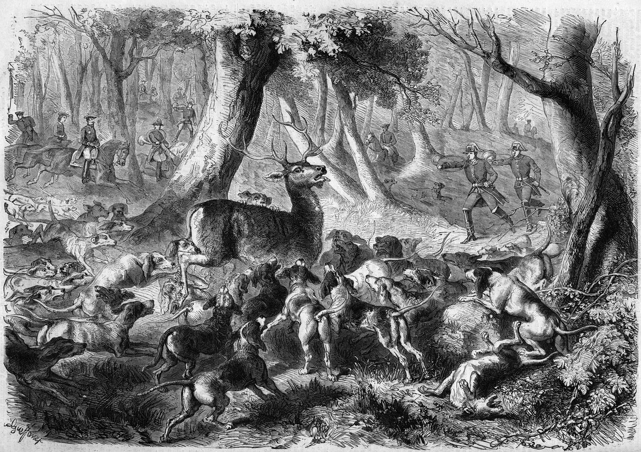 Scène de chasse - French School