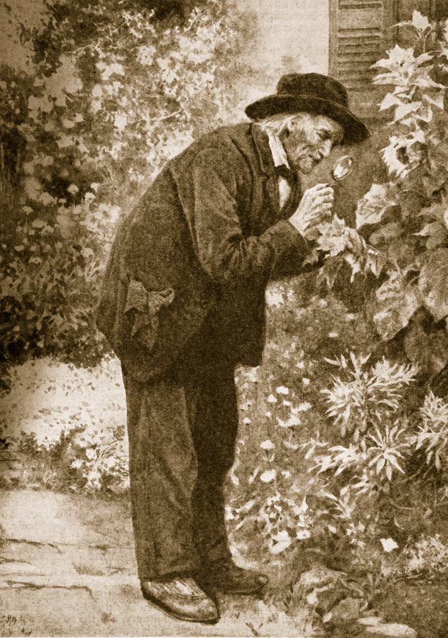 Jean-Henri Fabre observant des insectes - French School