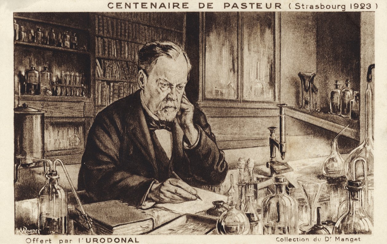 Louis Pasteur - French School