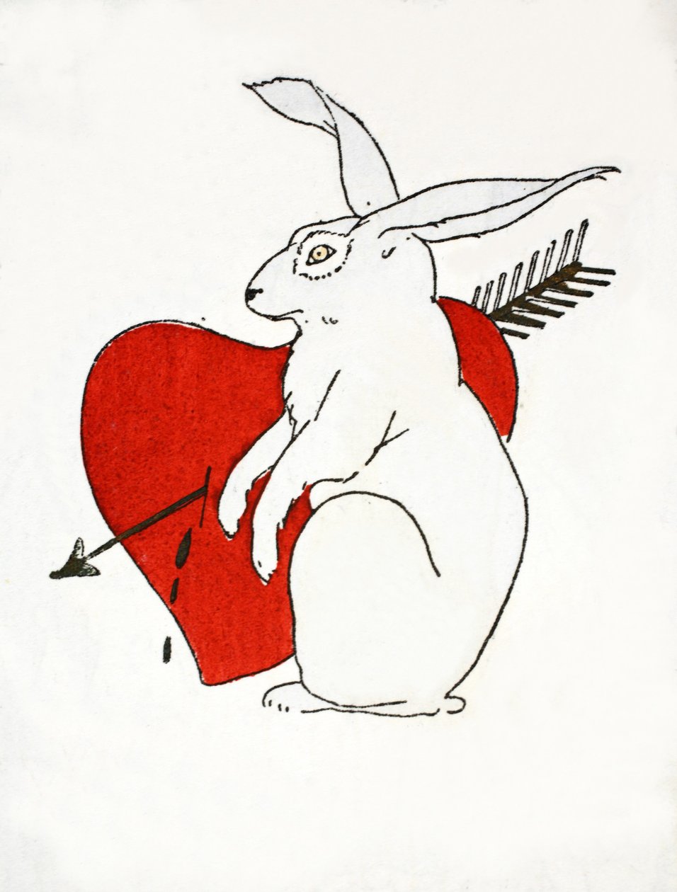 Lapin d