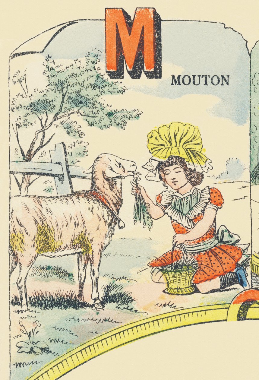 M: mouton - French School