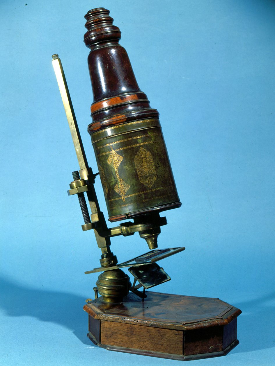 Microscope (bois et laiton) - French School