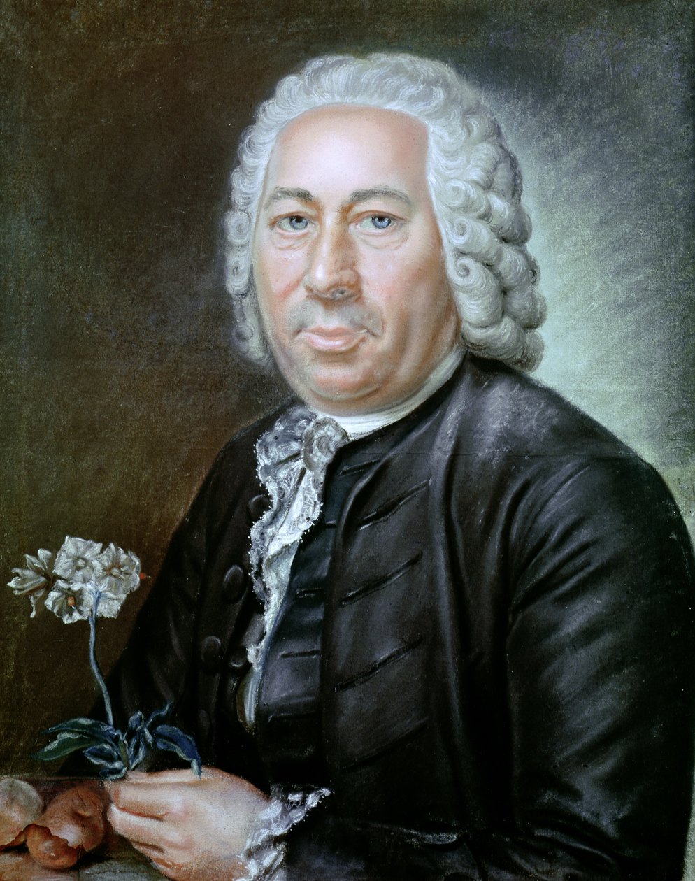 Portrait d