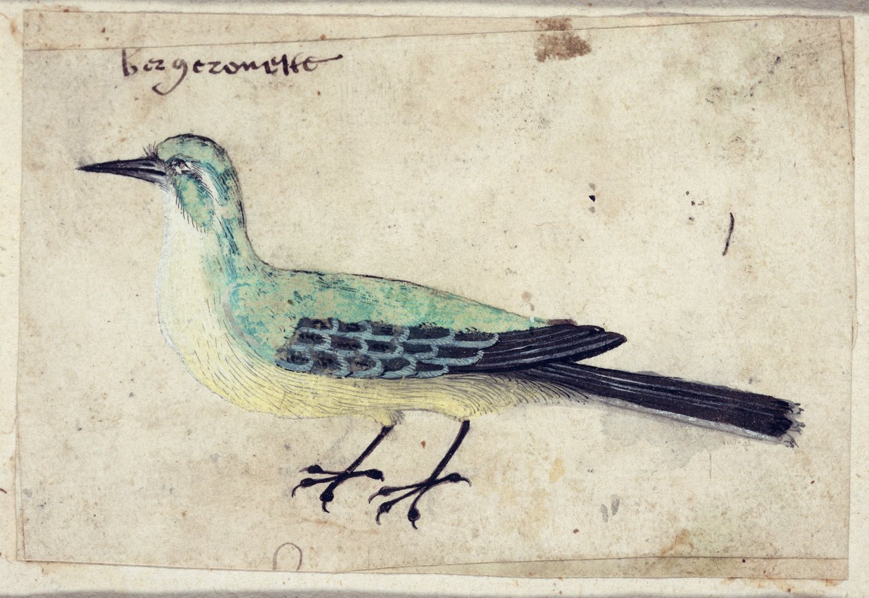 Étude d