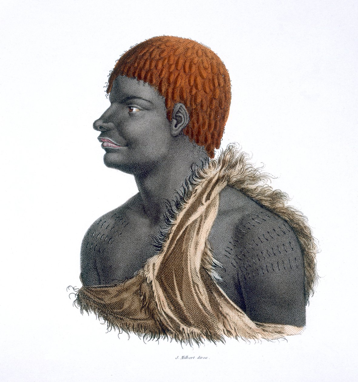 Aborigène tasmanien, 1812 - French School