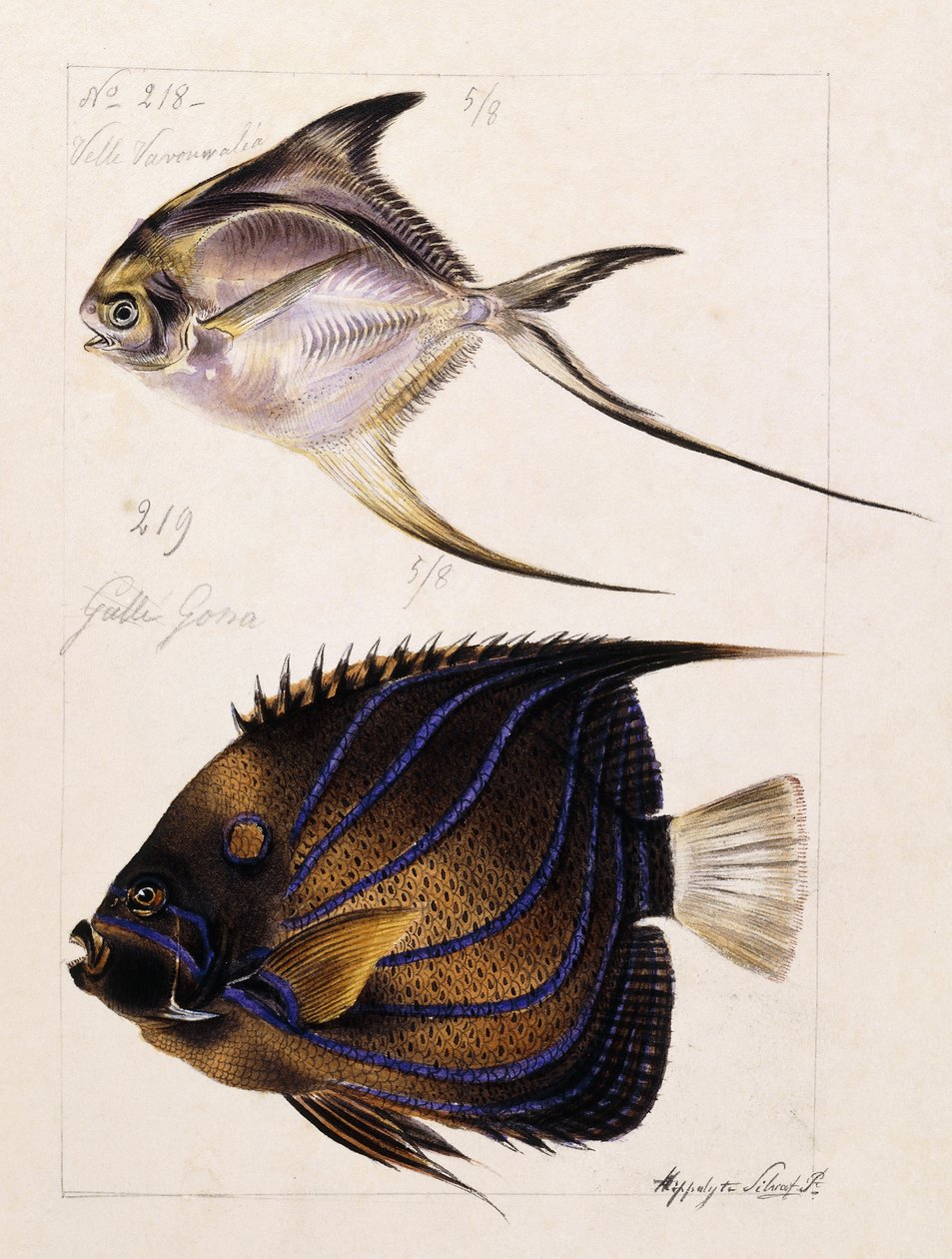 Velle... Etc, vers 1850 - French School