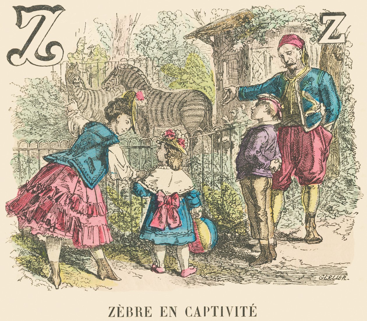 Z : Zèbre en captivité - French School