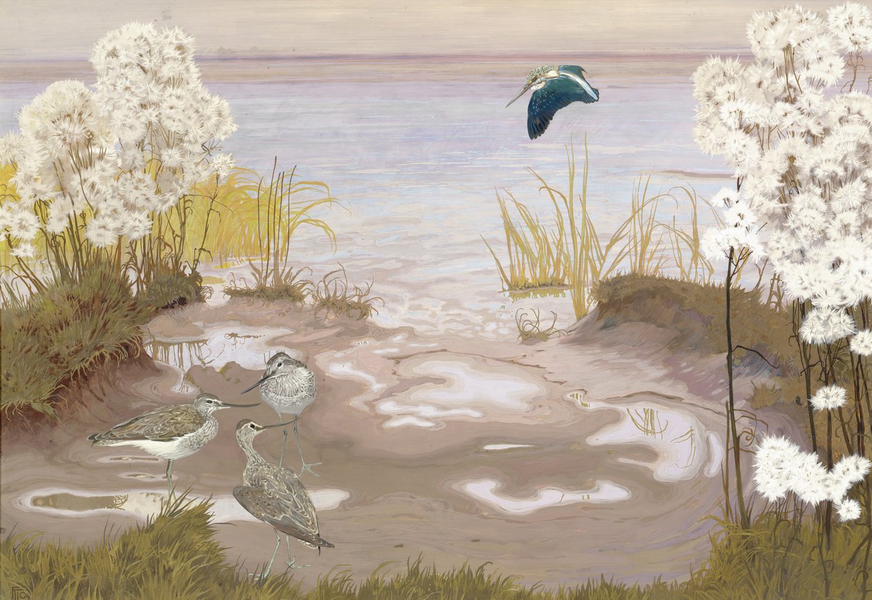 Oiseau sur les vasières de l