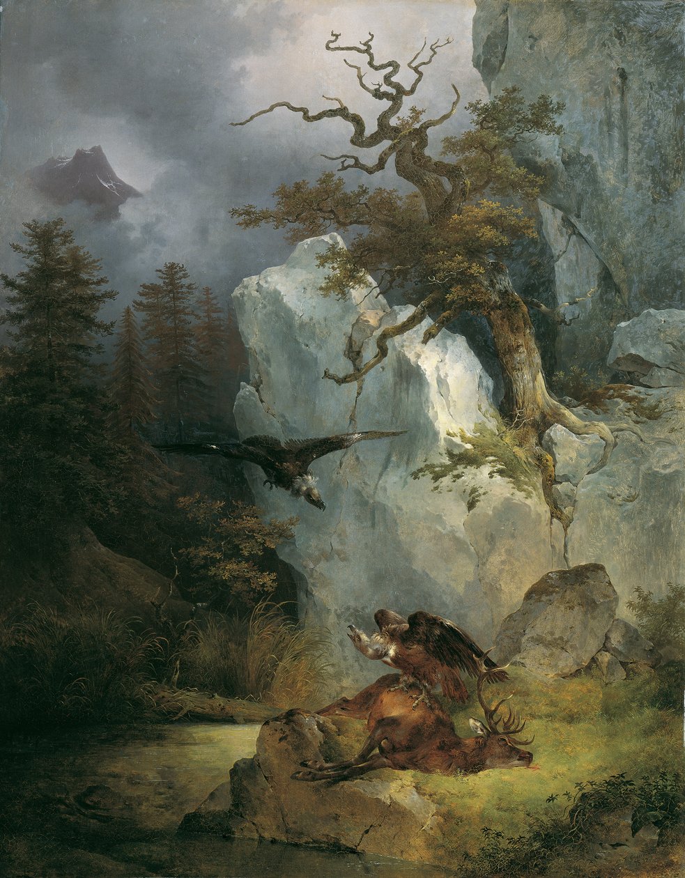 Un vautour sur un cerf mort - Friedrich August Mathias Gauermann