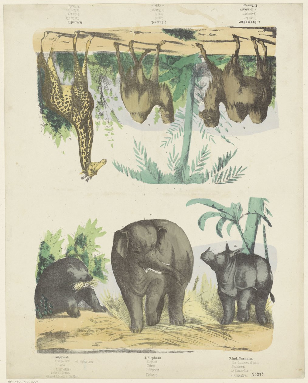 Animaux sauvages - Friedrich Gustav Schulz