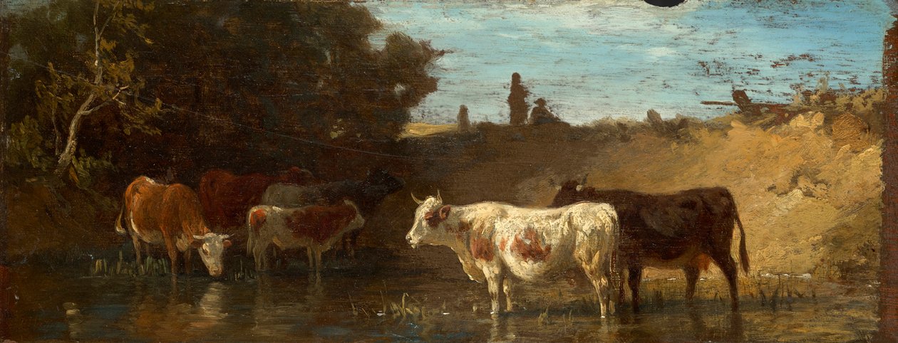 Vaches à l